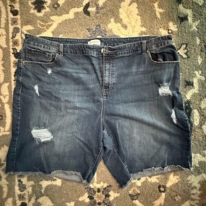 Lane Bryant jean shorts